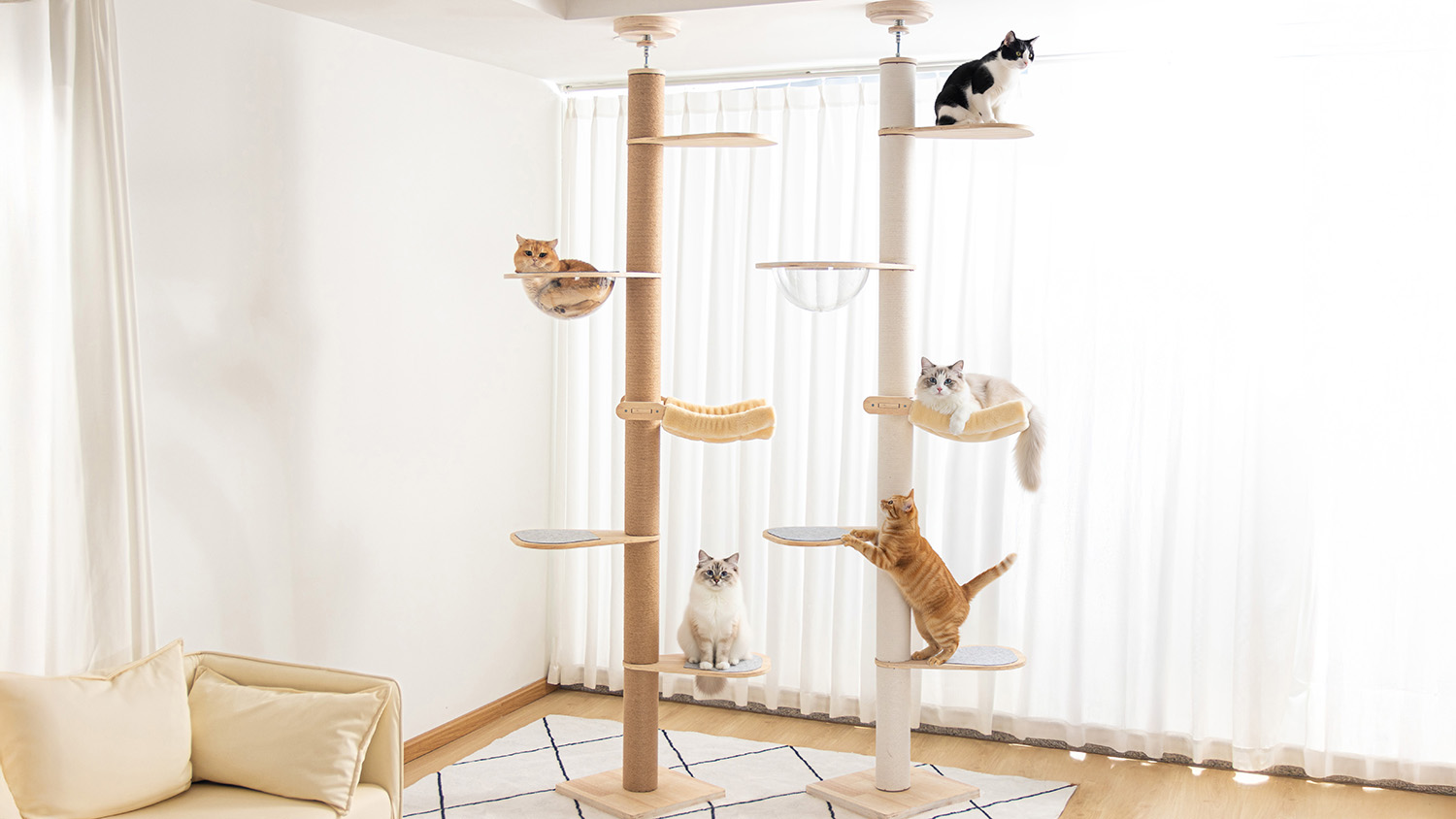 Amazon | PETTIFUL 【特注合板厚さ15mm】 キャットタワー 突っ張り